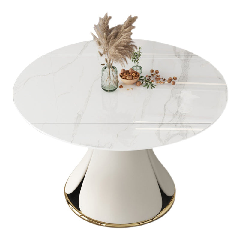 53'' Luxury Sintered Stone Dining Table Extendable Rectangle Table with Metal Pedestal White Without Chairs Clearhalo ' dining_table' 'Dining Tables & Seating' 'Dining Tables' 'furn' 'furn_dining_table' 'Furniture' 'furniture_dining_table' 'Kitchen & Dining Furniture' 'kitchen&dining_furn' 'kitchen' 'kitchen_dining_table' 4288452