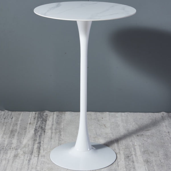 Stone Bar Dining Table Modern Round Bar Table with Pedestal for Dining Room White Slate Clearhalo 'Bar Furniture' 'Bar Tables' 'bar_tables' 'furn' 'furn_bar_tables' 'Furniture' 'furniture_bar_tables' 'Kitchen & Dining Furniture' 4864394