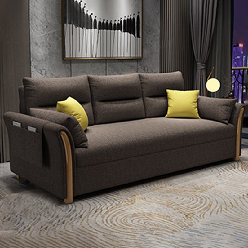 Contemporary Pillow Back Sofa Bed with Storage for Apartment