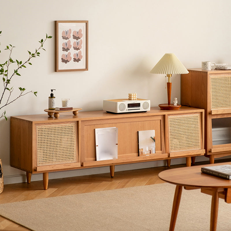 Style de style moderne Stand Brun Couleur de rangement fermé Console TV avec armoire