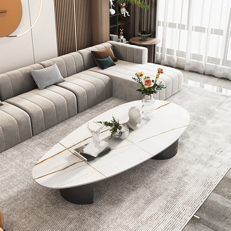 Mesa de café de una sola mesa de 2 patas mesa de café ovalado con almacenamiento