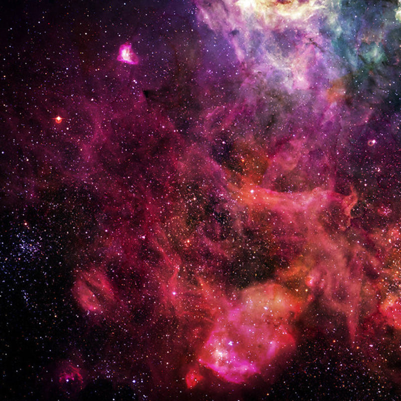 Purple and Pink Simplicity Mural Full Size Galaxy Wall Art for Ceiling, Personalized Size Available Clearhalo 'Wall Decor' 'Wall Mural' 1112732