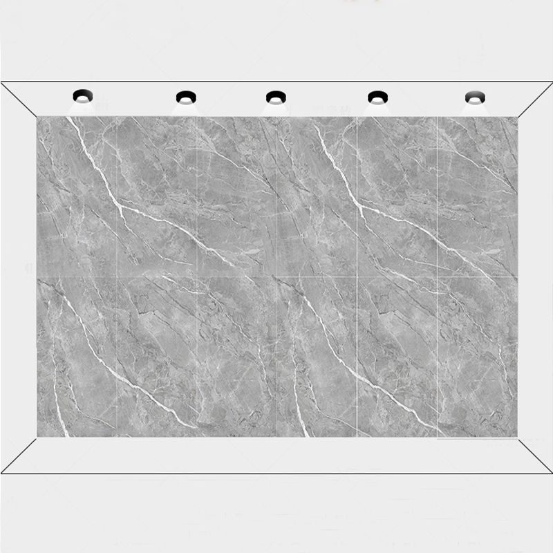 Porcelain Floor and Wall Tile 47.2"×23.6" Mirrored Singular Tile Clearhalo 'Floor Tiles & Wall Tiles' 'floor_tiles_wall_tiles' 'Flooring 'Home Improvement' 'home_improvement' 'home_improvement_floor_tiles_wall_tiles' Walls and Ceiling' 1200x1200_1dea2d56-24be-463b-8c0c-b2d85e7147a5