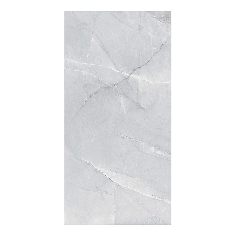 Contemporary Floor and Wall Tile Porcelain Marble Printed Frosted Tile Clearhalo 'Floor Tiles & Wall Tiles' 'floor_tiles_wall_tiles' 'Flooring 'Home Improvement' 'home_improvement' 'home_improvement_floor_tiles_wall_tiles' Walls and Ceiling' 1200x1200_559a97f8-4f23-4838-bd96-042c3a18c7e3