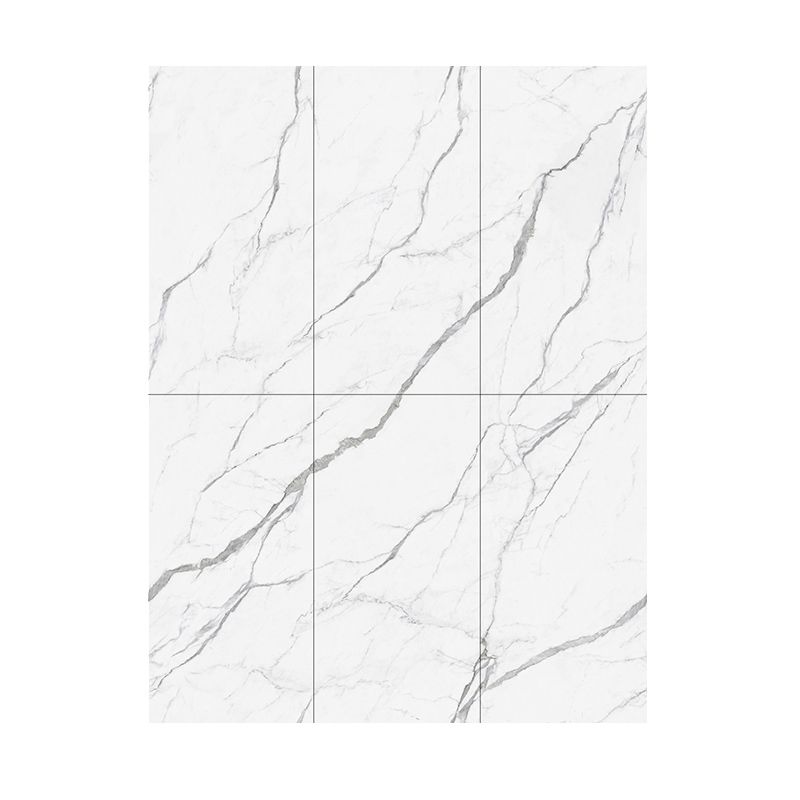Porcelain Floor and Wall Tile 47.2"×23.6" Mirrored Singular Tile Clearhalo 'Floor Tiles & Wall Tiles' 'floor_tiles_wall_tiles' 'Flooring 'Home Improvement' 'home_improvement' 'home_improvement_floor_tiles_wall_tiles' Walls and Ceiling' 1200x1200_92b7317a-4749-461f-9537-bdc067010eae