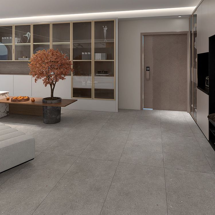 Modern Rectangle Tile Porcelain Plain Frosted Floor and Wall Tile Clearhalo 'Floor Tiles & Wall Tiles' 'floor_tiles_wall_tiles' 'Flooring 'Home Improvement' 'home_improvement' 'home_improvement_floor_tiles_wall_tiles' Walls and Ceiling' 1200x1200_b8908f2a-29f0-4cc2-b78f-201e3ac67b77