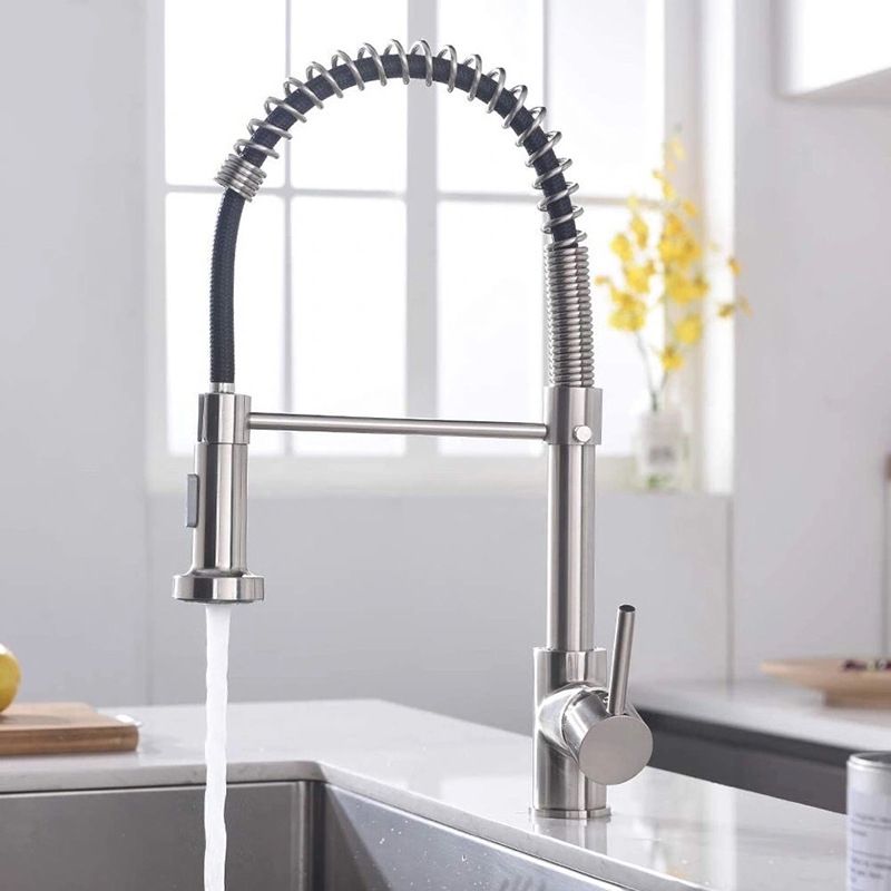 Modern Farmhouse Spring Spout Water Filler One Handle High Arch Kitchen Standard Faucet Clearhalo 'Home Improvement' 'home_improvement' 'home_improvement_kitchen_faucets' 'Kitchen Faucets' 'Kitchen Remodel & Kitchen Fixtures' 'Kitchen Sinks & Faucet Components' 'kitchen_faucets' 1200x1200_cab309e8-4f04-4bc3-91f5-7e9073ad54e4