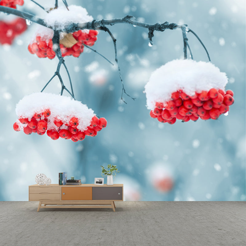 Blue-Red Modern Wallpaper Mural Whole Cherry-Like Fruit Covered with Snow Wall Decor for Home Clearhalo 'Wall Decor' 'Wall Mural' 1502125