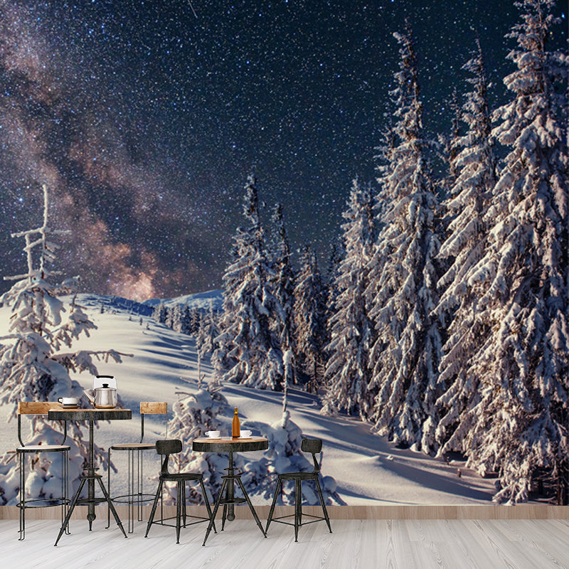 Nordic Milky Way Wallpaper Mural Grey Snowy Cypress Landscape Wall Decor for Home Clearhalo 'Wall Decor' 'Wall Mural' 1502155