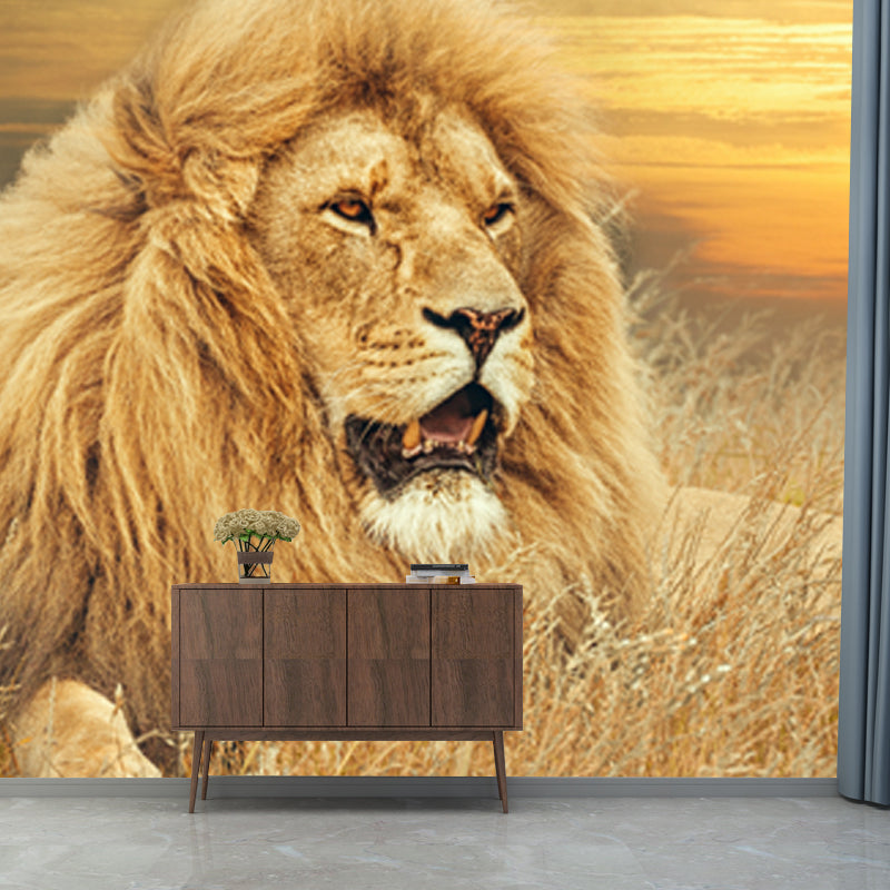 Contemporary Wild Animal Mural Brown Lion Lying on Ground at Sunset Wall Covering Clearhalo 'Wall Decor' 'Wall Mural' 1508367