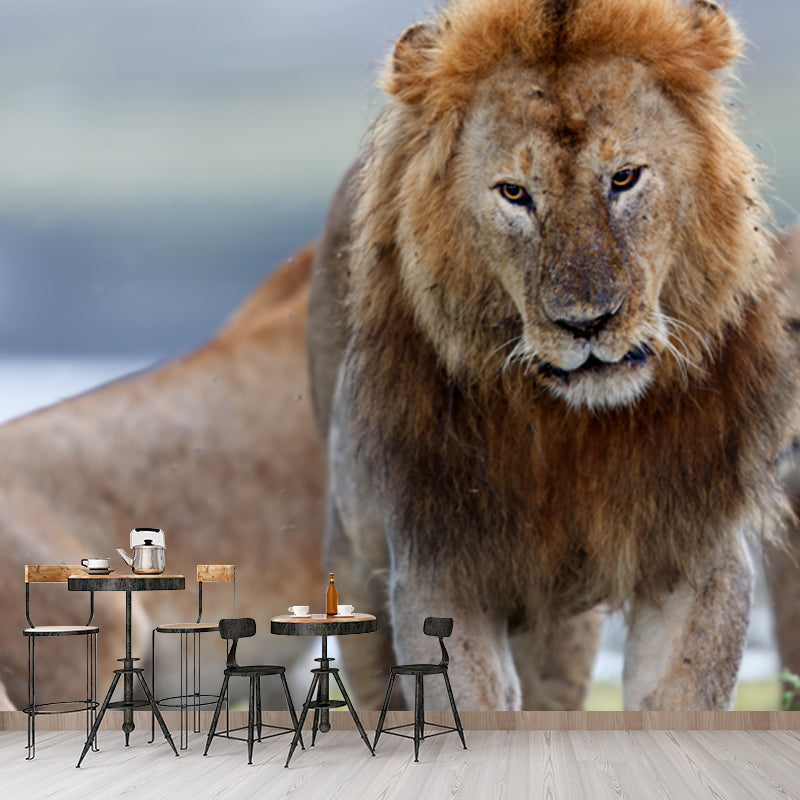 Non-Woven Big Brown Mural Modern Lion Wall Covering for Living Room, Custom Size Clearhalo 'Wall Decor' 'Wall Mural' 1508571