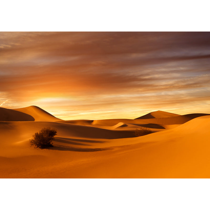 Huge Desert Sunset View Mural Modern Enchanting Dune Landscape Wall Decor in Yellow Clearhalo 'Wall Decor' 'Wall Mural' 1596357