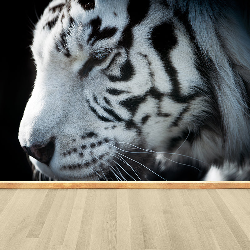 Contemporary Tame Asian Tiger Mural Wallpaper Black Nature Animals Wall Covering Clearhalo 'Wall Decor' 'Wall Mural' 1617194