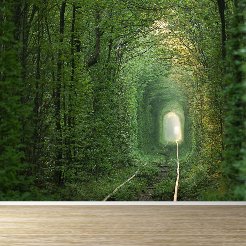 Photography Style 3D View Mural for Living Room, Dark Color, Custom Size Available Green Clearhalo 'Wall Decor' 'Wall Mural' 1637813