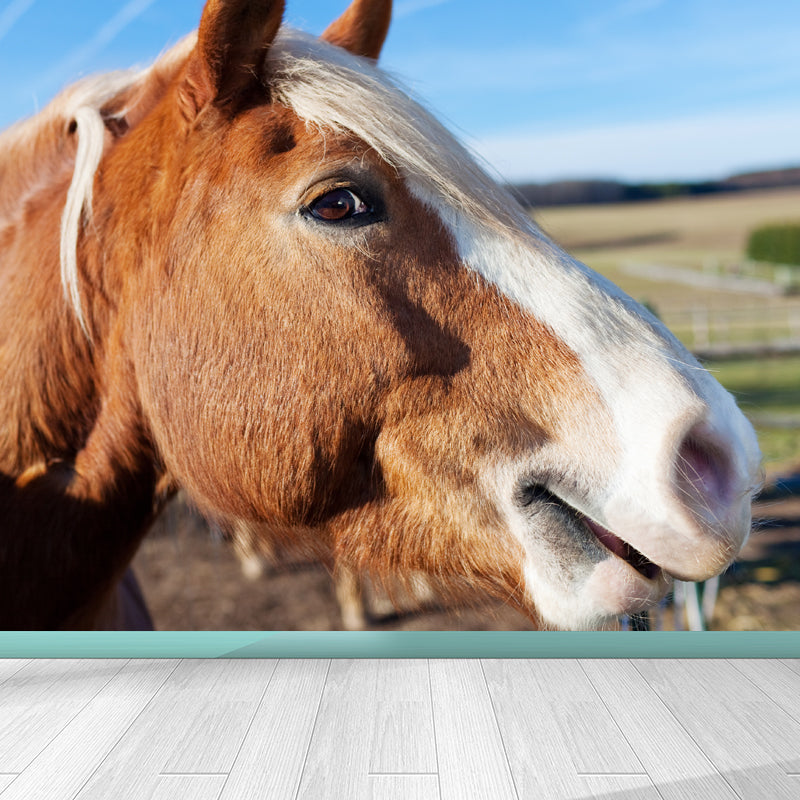 Large Tall Horse Mural Decal Contemporary Tameable Animals Wall Covering in Brown Brown Design 2 Clearhalo 'Wall Decor' 'Wall Mural' 1647439