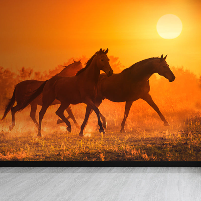 Running Horse and Sunset Mural Decal for Boys Bedroom Animals Wall Decor, Custom Orange Design 2 Clearhalo 'Wall Decor' 'Wall Mural' 1648173