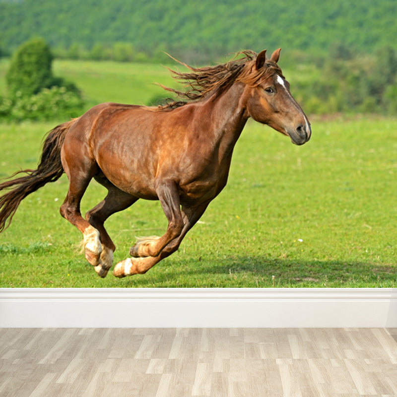 Photography Steed Wall Mural Decal Giant Wall Decor for Living Room, Made to Measure Green Clearhalo 'Wall Decor' 'Wall Mural' 1757607