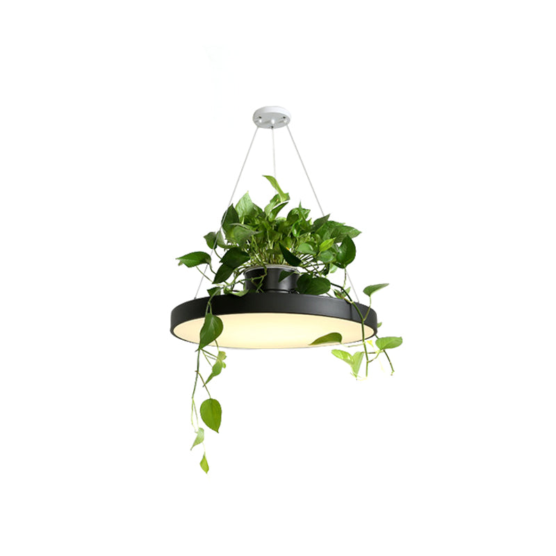 hanging planter light fixture Macaron Round Hanging Light Acrylic LED Pendant Lighting Fixture in Black/Grey/White with Top Plant Pot