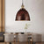 Antique Style Dome Pendant Lamp 1 Light Wrought Iron Hanging Light Fixture with Cord in Black/Rust Rust Clearhalo 'Art Deco Pendants' 'Black' 'Cast Iron' 'Ceiling Lights' 'Ceramic' 'Crystal' 'Industrial Pendants' 'Industrial' 'Metal' 'Middle Century Pendants' 'Pendant Lights' 'Pendants' 'Rustic Pendants' 'Tiffany' Lighting' 203728