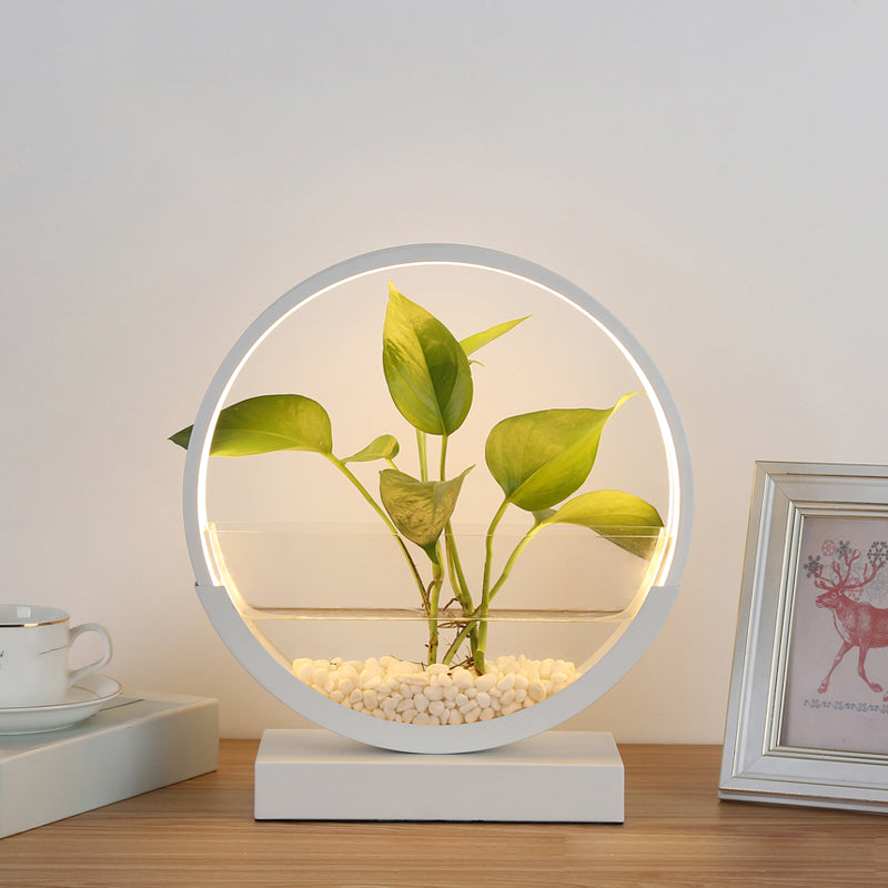 plant pot lamp Nordic Circle Table Lamp Acrylic Bedroom LED Night Light with Hydroponics Plant Pot Design