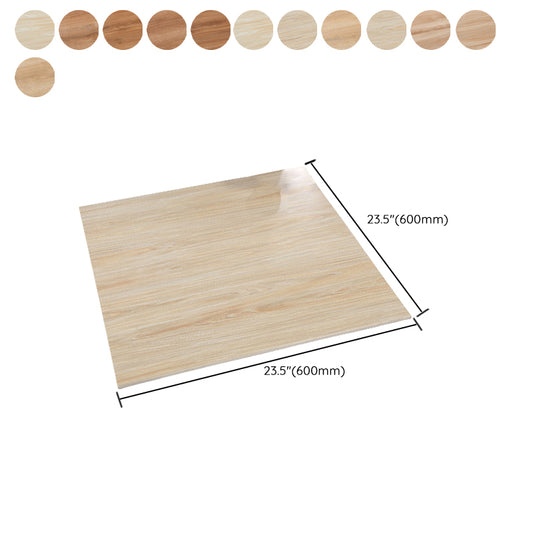 Glazed Square Floor Tile Porcelain Floor Tile with Wooden Pattern Clearhalo 'Floor Tiles & Wall Tiles' 'floor_tiles_wall_tiles' 'Flooring 'Home Improvement' 'home_improvement' 'home_improvement_floor_tiles_wall_tiles' Walls and Ceiling' 6316414