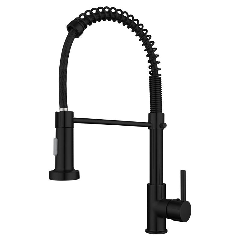 Modern Farmhouse Spring Spout Water Filler One Handle High Arch Kitchen Standard Faucet Black Clearhalo 'Home Improvement' 'home_improvement' 'home_improvement_kitchen_faucets' 'Kitchen Faucets' 'Kitchen Remodel & Kitchen Fixtures' 'Kitchen Sinks & Faucet Components' 'kitchen_faucets' 6365674