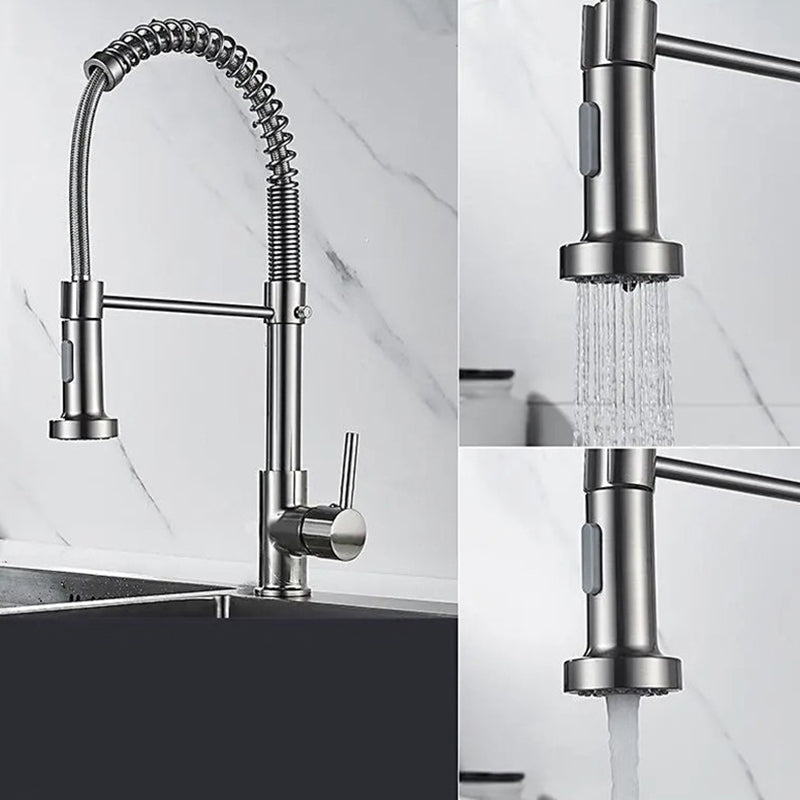 Modern Farmhouse Spring Spout Water Filler One Handle High Arch Kitchen Standard Faucet Clearhalo 'Home Improvement' 'home_improvement' 'home_improvement_kitchen_faucets' 'Kitchen Faucets' 'Kitchen Remodel & Kitchen Fixtures' 'Kitchen Sinks & Faucet Components' 'kitchen_faucets' 6365675