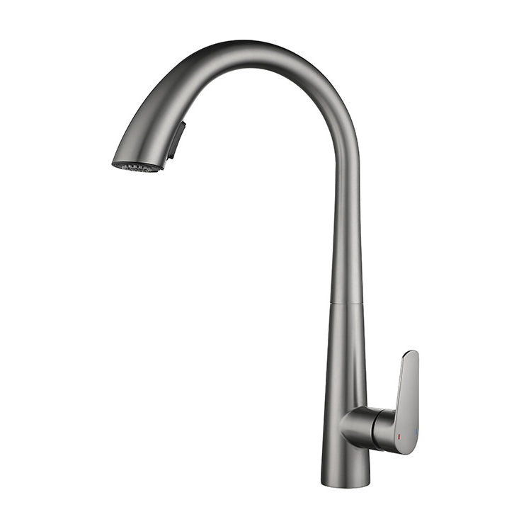 Modern Retractable Kitchen Faucet Stainless Steel Single Handle High Arc Kitchen Faucet Silver Gray Clearhalo 'Home Improvement' 'home_improvement' 'home_improvement_kitchen_faucets' 'Kitchen Faucets' 'Kitchen Remodel & Kitchen Fixtures' 'Kitchen Sinks & Faucet Components' 'kitchen_faucets' 6484282