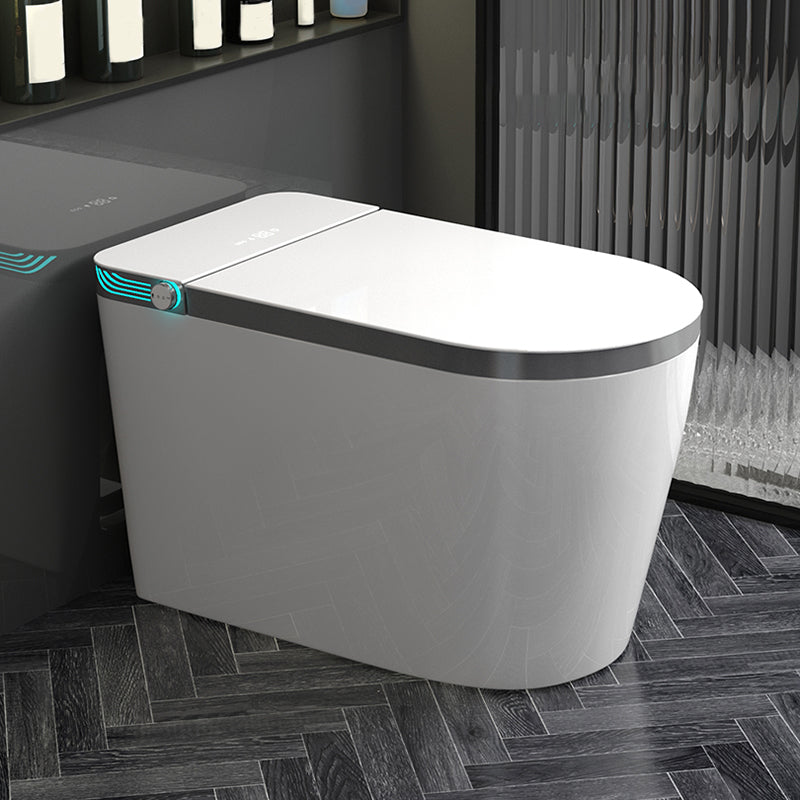 Temperature Control Floor Standing Bidet without Water Pressure Control White-Gray Clearhalo 'Bathroom Remodel & Bathroom Fixtures' 'Bidets' 'Home Improvement' 'home_improvement' 'home_improvement_bidets' 'Toilets & Bidets' 6718252