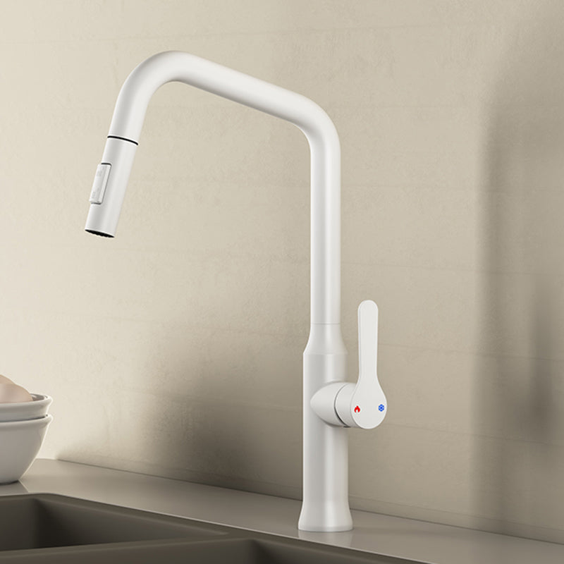 Swivel Spout Kitchen Sink Faucet 304 Stainless Steel with Pull Out Sprayer White Clearhalo 'Home Improvement' 'home_improvement' 'home_improvement_kitchen_faucets' 'Kitchen Faucets' 'Kitchen Remodel & Kitchen Fixtures' 'Kitchen Sinks & Faucet Components' 'kitchen_faucets' 7110841