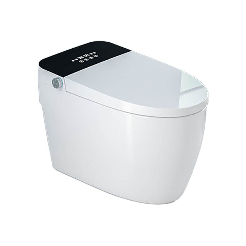 Vitreous China Bidets Elongated All-in-One Bidet with Heated Seat Clearhalo 'Bathroom Remodel & Bathroom Fixtures' 'Bidets' 'Home Improvement' 'home_improvement' 'home_improvement_bidets' 'Toilets & Bidets' 7389931