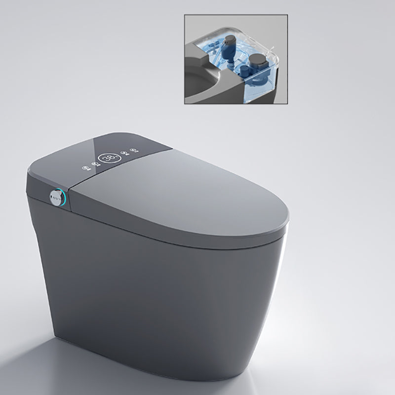 Elongated Floor Standing Bidet Contemporary Smart Bidet with Quiet-Close Grey Clearhalo 'Bathroom Remodel & Bathroom Fixtures' 'Bidets' 'Home Improvement' 'home_improvement' 'home_improvement_bidets' 'Toilets & Bidets' 7402540