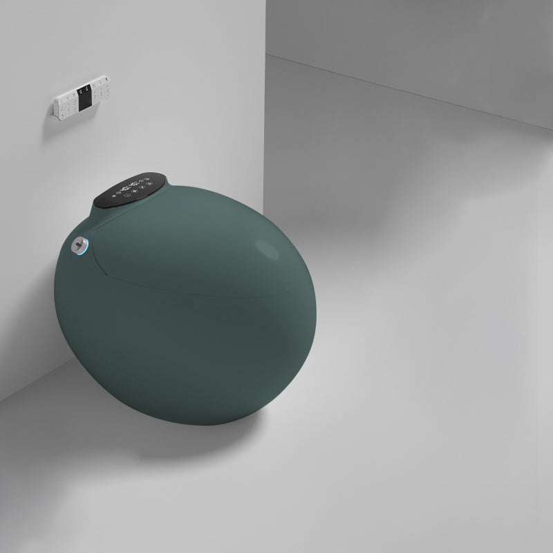 Round Floor Mount Bidet with Unlimited Warm Water Vitreous China Bidets Green Clearhalo 'Bathroom Remodel & Bathroom Fixtures' 'Bidets' 'Home Improvement' 'home_improvement' 'home_improvement_bidets' 'Toilets & Bidets' 7437966