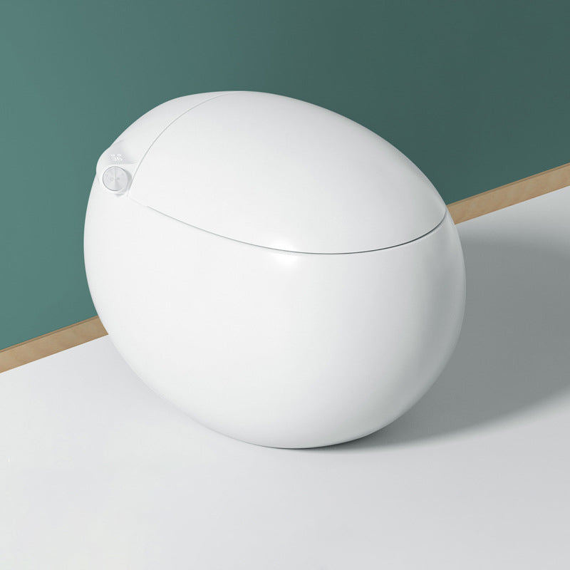 Round Floor Mount Bidet White Floor Standing Bidet with Unlimited Warm Water Automatic Lid( Top Configuration) 16" Yes Clearhalo 'Bathroom Remodel & Bathroom Fixtures' 'Bidets' 'Home Improvement' 'home_improvement' 'home_improvement_bidets' 'Toilets & Bidets' 7437980