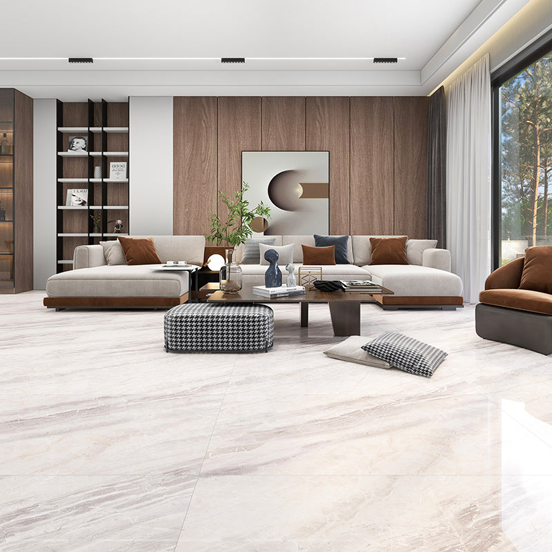 Modern Porcelain Singular Tile Marble Patterned Textured Wall Tile Light Gray 18 Pieces Clearhalo 'Floor Tiles & Wall Tiles' 'floor_tiles_wall_tiles' 'Flooring 'Home Improvement' 'home_improvement' 'home_improvement_floor_tiles_wall_tiles' Walls and Ceiling' 7466611