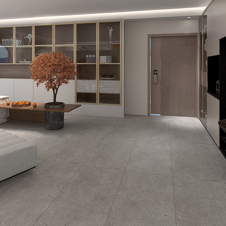 Modern Rectangle Tile Porcelain Plain Frosted Floor and Wall Tile Clearhalo 'Floor Tiles & Wall Tiles' 'floor_tiles_wall_tiles' 'Flooring 'Home Improvement' 'home_improvement' 'home_improvement_floor_tiles_wall_tiles' Walls and Ceiling' 7483243