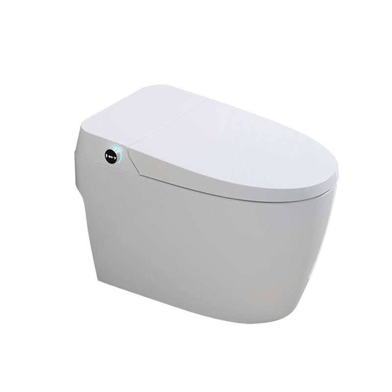 Elongated Ceramic Bidets Seat Smart Floor Standing Toilet Seat Bidet in White Clearhalo 'Bathroom Remodel & Bathroom Fixtures' 'Bidets' 'Home Improvement' 'home_improvement' 'home_improvement_bidets' 'Toilets & Bidets' 7612399
