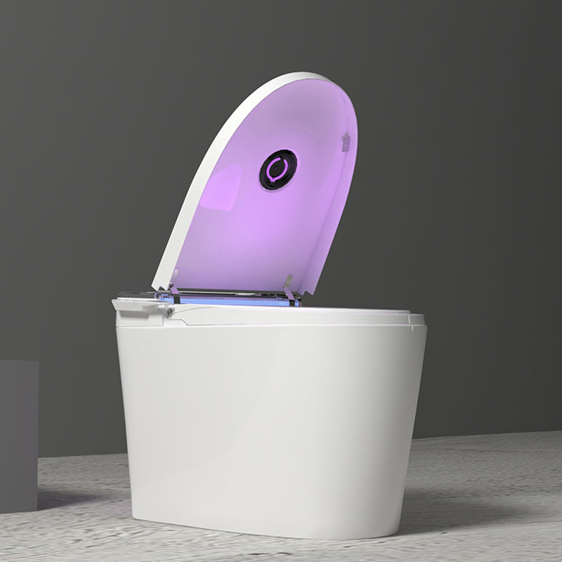 Modern Antimicrobial Floor Standing Bidet with Water Pressure Control Clearhalo 'Bathroom Remodel & Bathroom Fixtures' 'Bidets' 'Home Improvement' 'home_improvement' 'home_improvement_bidets' 'Toilets & Bidets' 7981536