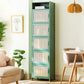 Contemporary Green Wood Accent Cabinet Rectangle Grooves Accent Cabinet Clearhalo 'Cabinets & Chests' 'cabinets_chests' 'furn' 'furn_cabinets_chests' 'Furniture' 'Living Room Furniture' 1200x1200_006546a7-fe8a-4ed6-a114-a0e6f1b49a8d