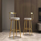 Indoor Scandinavian Counter Chair Round Upholstered Counter Height Stool Clearhalo 'Bar Furniture' 'Bar Stools' 'bar_stools' 'furn' 'furn_bar_stools' 'Furniture' 'Kitchen & Dining Furniture' 1200x1200_00afe0bd-3f4f-492f-9a7b-9d82d24cde91