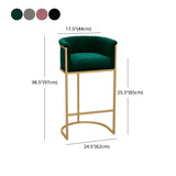 Glam Armrest Backrest Counter Stool Iron Milk Tea Shop Bar Stool with Cushion and Pedal Clearhalo 'Bar Furniture' 'Bar Stools' 'bar_stools' 'furn' 'furn_bar_stools' 'furniture_bar_stools' 'Kitchen & Dining Furniture' 'kitchen&dining_furn' 'kitchen' 'kitchen_furn' Furniture' 1200x1200_00d59baf-fbbb-4eb8-9c24-9e6d64dc3698