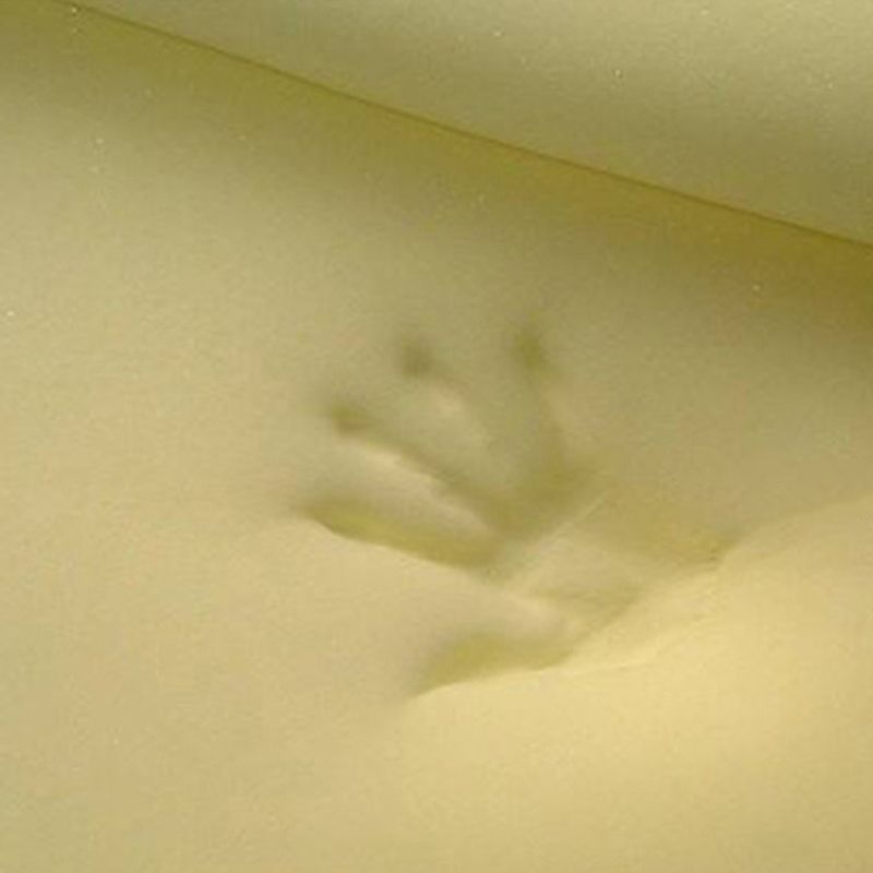 Estándar de terciopelo moderno estándar de color sólido resistente a la lágrima estándar de interior