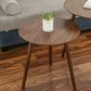 Scandinavian Style Sofa Side Accent Table Wooden Round Side End Table