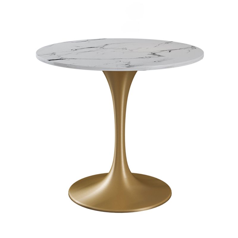 Round Tulip Base Dinette Table Traditional Luxury Stone Dining Room Collection Clearhalo ' dining_table' 'Dining Tables & Seating' 'Dining Tables' 'furn' 'furn_dining_table' 'Furniture' 'furniture_dining_table' 'Kitchen & Dining Furniture' 'kitchen&dining_furn' 'kitchen' 'kitchen_dining_table' 1200x1200_016194f4-cc14-47c0-9565-0da93ce5a2ed