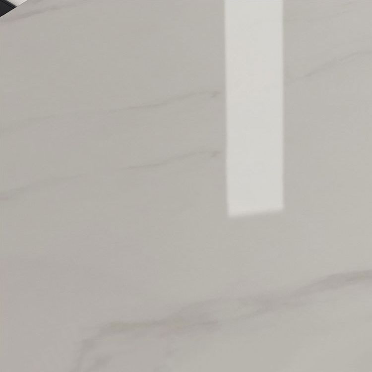 Designer Style 1/2/5/7 Pieces Sintered Stone Dining Set Rectangle White Table with Chairs Clearhalo 'Dining Room Sets' 'Dining Tables & Seating' 'dining_room_set' 'furn' 'furn_dining_room_set' 'Furniture' 'furniture_dining_room_set' 'Kitchen & Dining Furniture' 1200x1200_01732fe2-3c8e-41fc-8f0f-ce1ae3600186