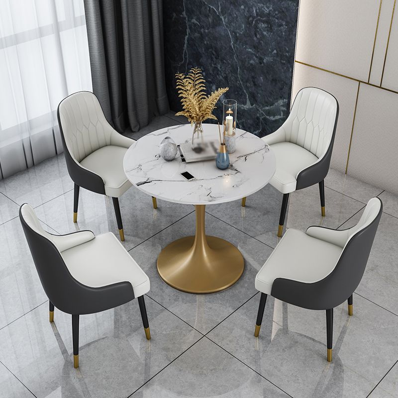 Glam 1/2/4/5 Pieces Iron Dinette Set with Sintered Stone Top Round Dining Table Set Clearhalo 'Dining Room Sets' 'Dining Tables & Seating' 'dining_room_set' 'furn' 'furn_dining_room_set' 'Furniture' 'furniture_dining_room_set' 'Kitchen & Dining Furniture' 1200x1200_01d7230e-b1a8-43f1-b405-e51d9cc4d5aa
