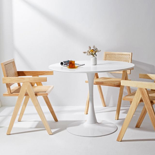 Eigentijdse stoelen stoelen voor de stoel met houten benen voor keuken