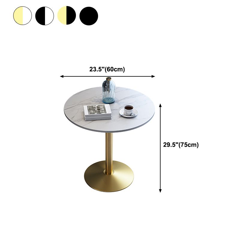 Metal Traditional Luxury Round Dining Table for Home Sintered Stone Table with Pedestal Clearhalo 'Dining Tables & Seating' 'Dining Tables' 'dining_table' 'furn' 'furn_dining_table' 'Furniture' 'Kitchen & Dining Furniture' 1200x1200_0247d8b9-0b4e-422c-b510-b622ec55ce97
