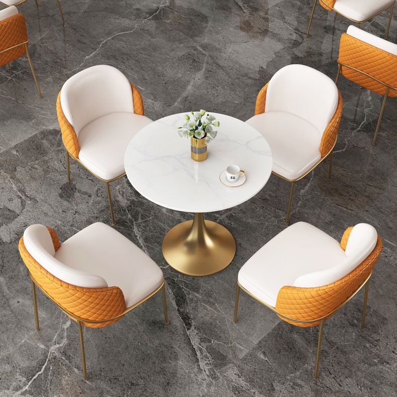 Glam Metal Dining Room Chair Faux Leather Dining Chairs for Home Use Clearhalo 'Dining Chairs' 'Dining Tables & Seating' 'dining_chair' 'furn' 'furn_dining_chair' 'Furniture' 'Kitchen & Dining Furniture' 1200x1200_02ebcfe3-7063-44b6-b431-f4c6e67dd2a2