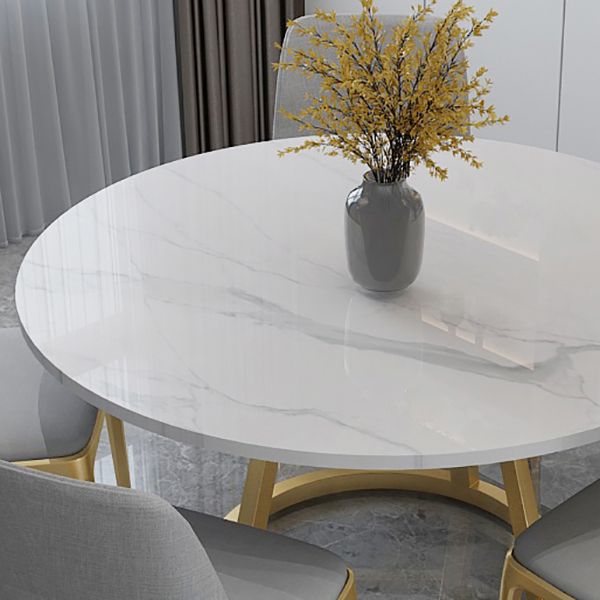 Contemporary Round Dining Table White Sintered Stone Dining Table with Pedestal Base Clearhalo ' dining_table' 'Dining Tables & Seating' 'Dining Tables' 'Furniture' 'furniture_dining_table' 'Kitchen & Dining Furniture' 'kitchen&dining_furn' 'kitchen' 'kitchen_dining_table' 1200x1200_031862c0-8d94-40c2-b133-191b130a3d66